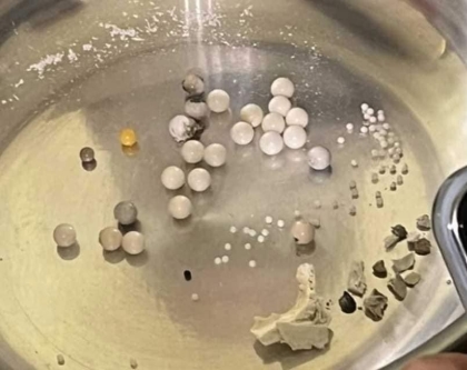 Hòa thượng Tinh Vân lưu xá lợi sau lễ trà tỳ 